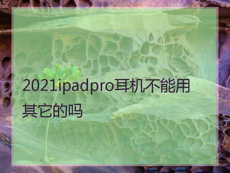 2021ipadpro耳机不能用其它的吗