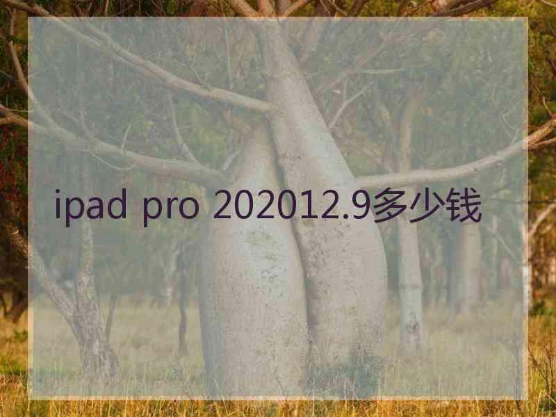 ipad pro 202012.9多少钱