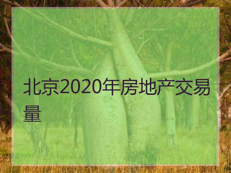 北京2020年房地产交易量