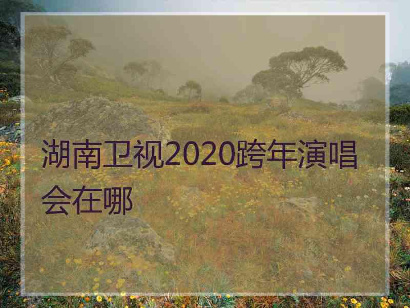 湖南卫视2020跨年演唱会在哪