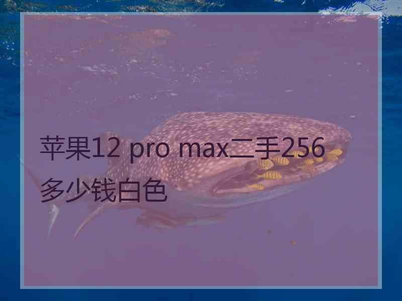 苹果12 pro max二手256多少钱白色