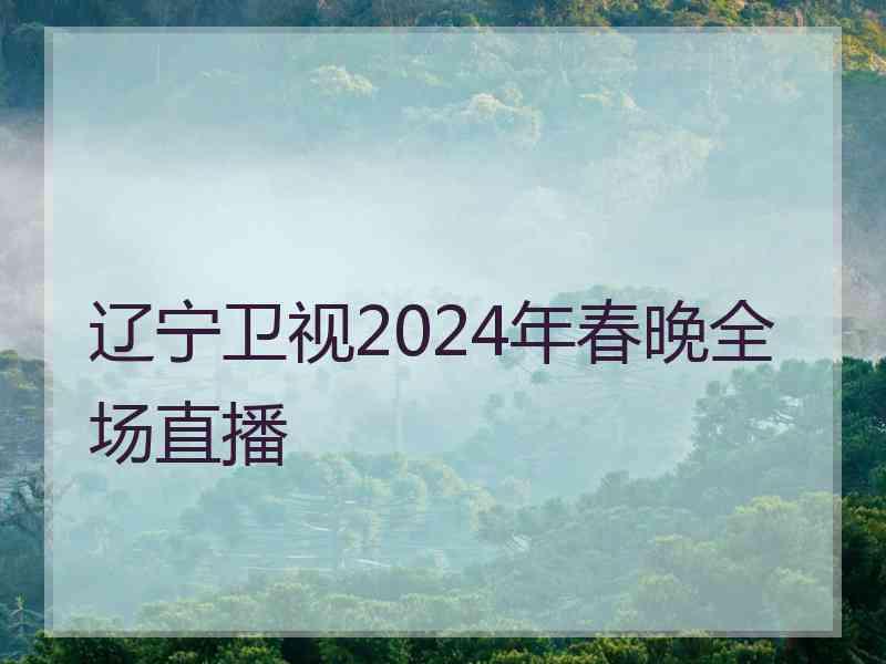 辽宁卫视2024年春晚全场直播