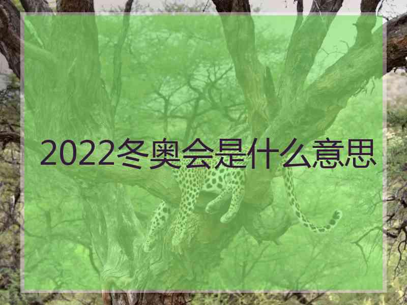 2022冬奥会是什么意思