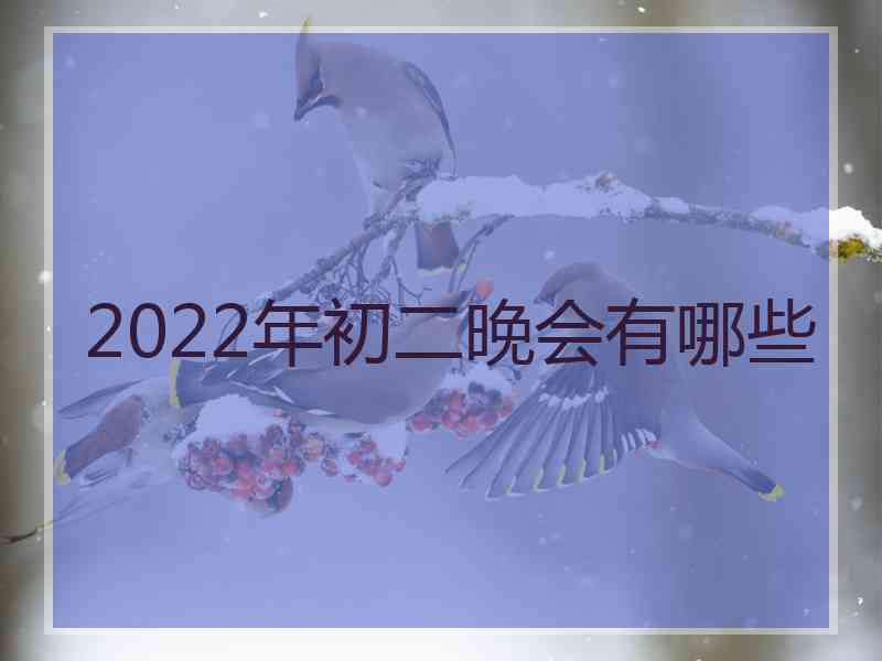 2022年初二晚会有哪些