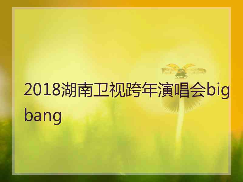 2018湖南卫视跨年演唱会bigbang