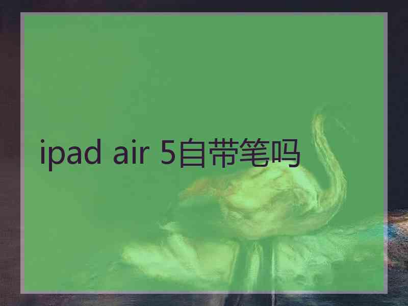 ipad air 5自带笔吗