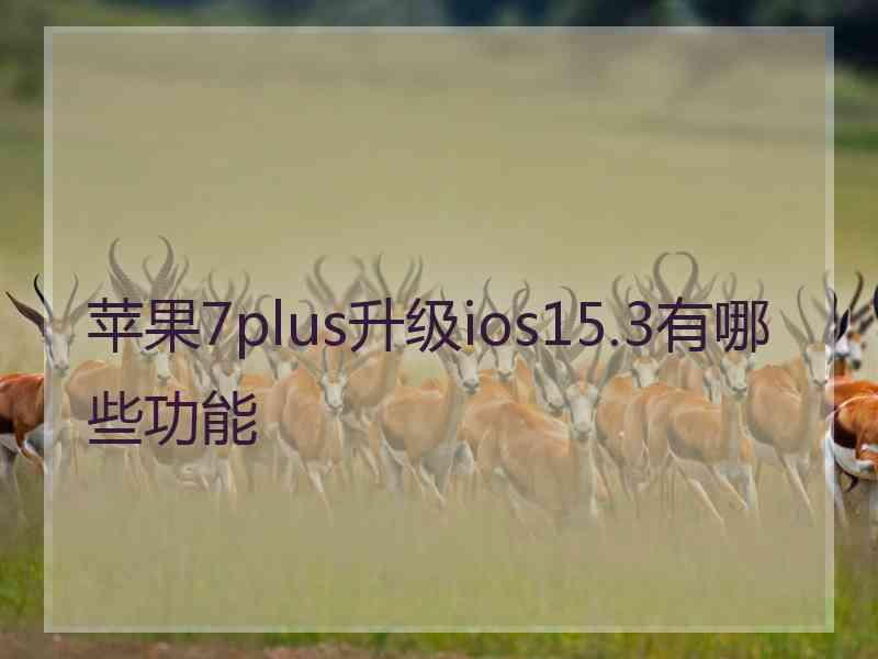 苹果7plus升级ios15.3有哪些功能