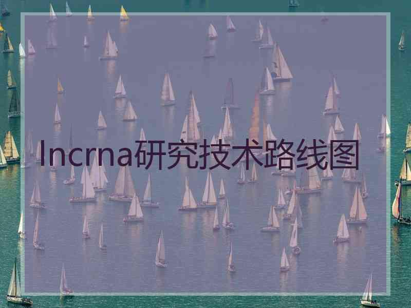 lncrna研究技术路线图