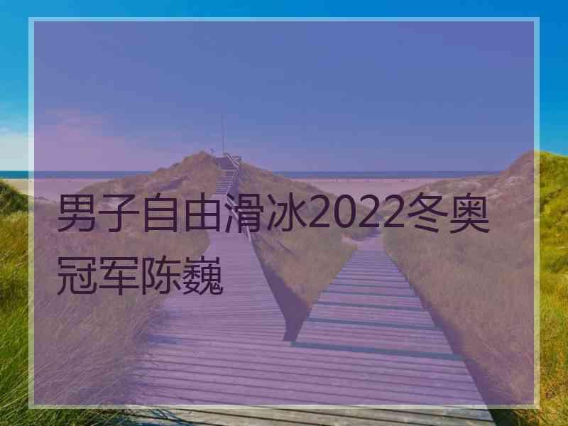 男子自由滑冰2022冬奥冠军陈巍