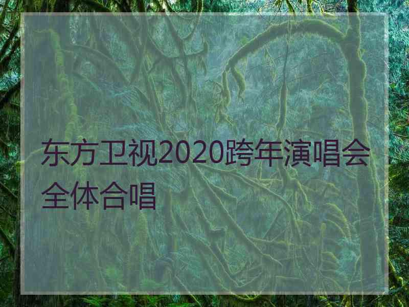 东方卫视2020跨年演唱会全体合唱