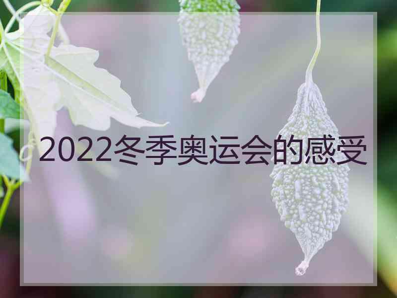 2022冬季奥运会的感受