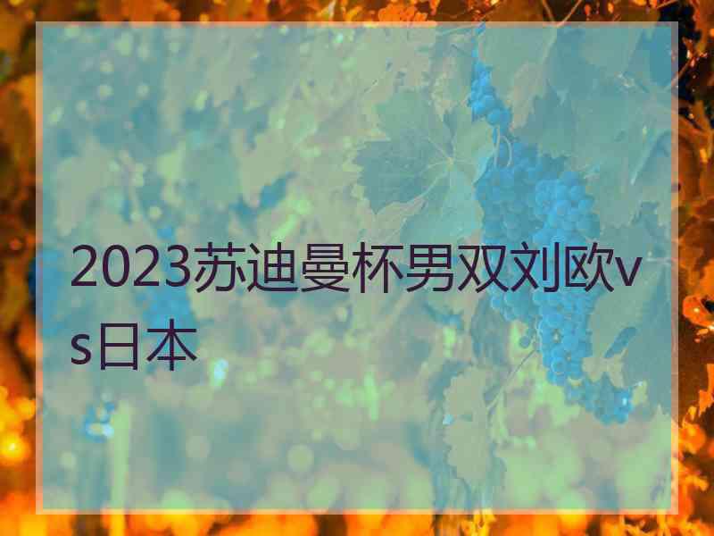 2023苏迪曼杯男双刘欧vs日本