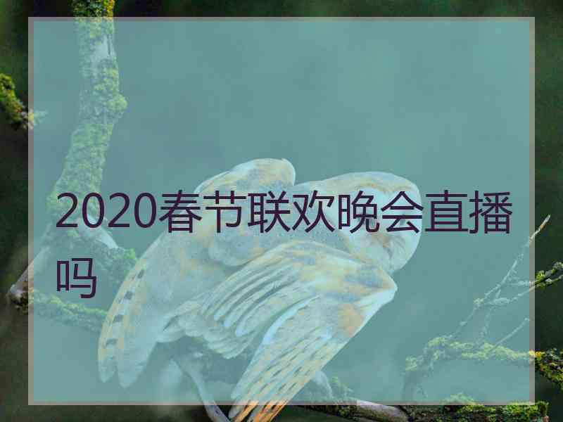 2020春节联欢晚会直播吗