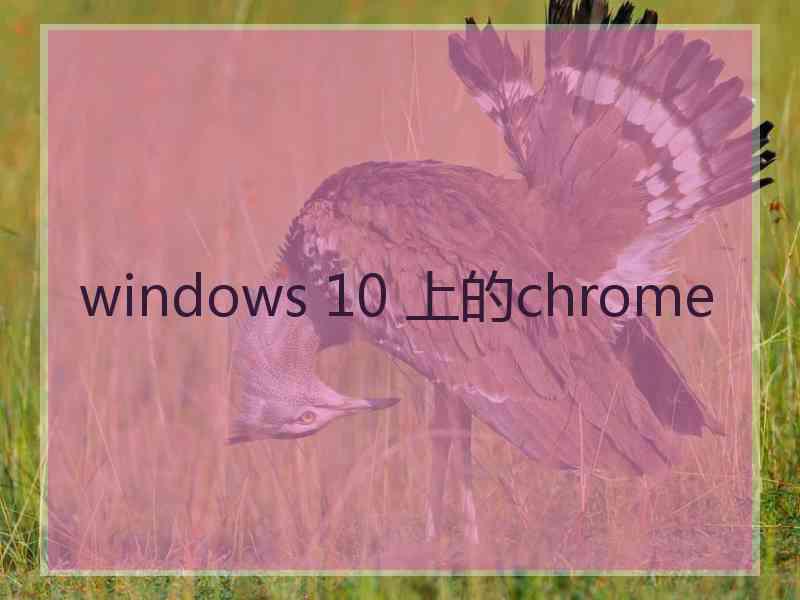 windows 10 上的chrome