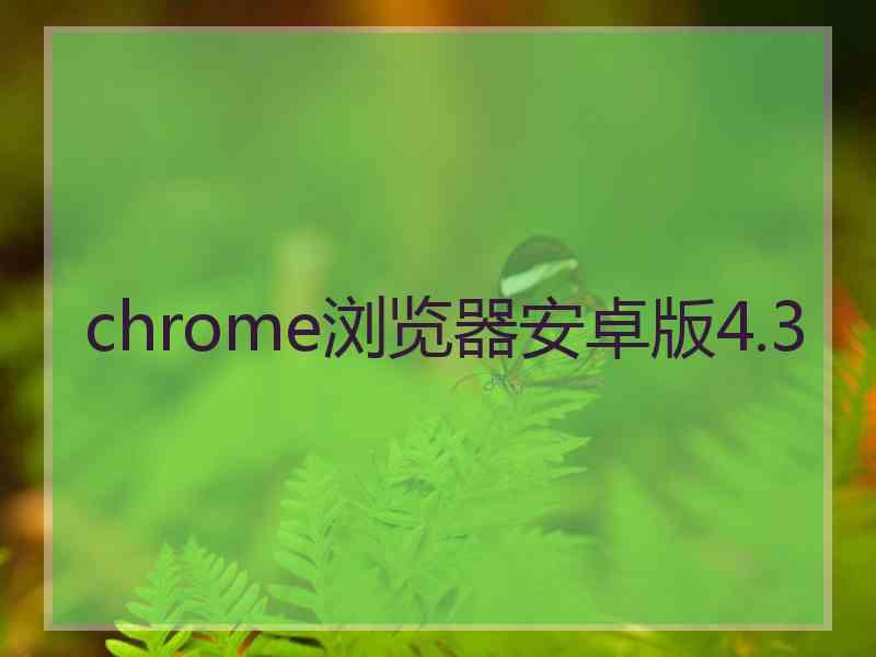 chrome浏览器安卓版4.3