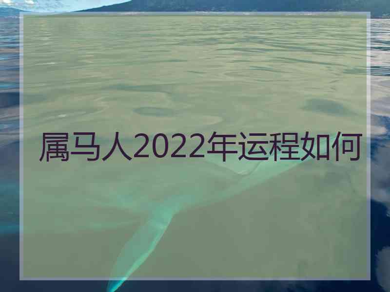 属马人2022年运程如何