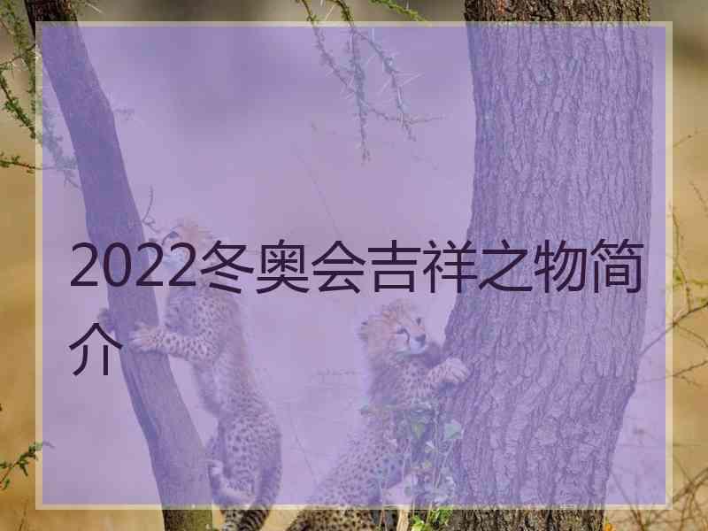 2022冬奥会吉祥之物简介