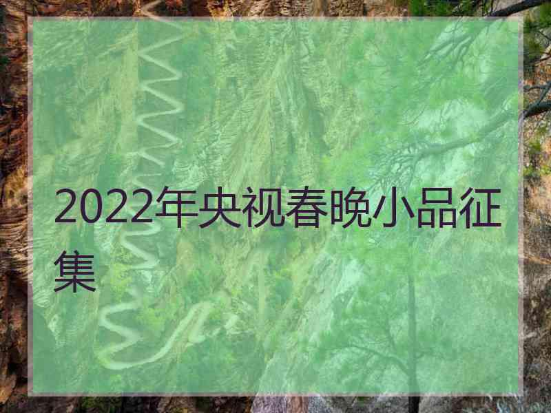 2022年央视春晚小品征集