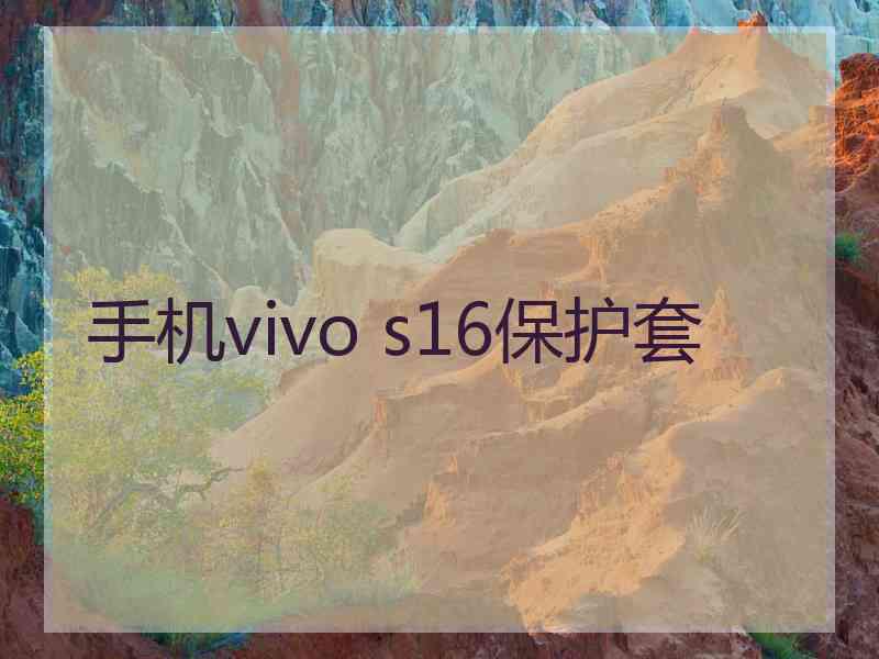 手机vivo s16保护套