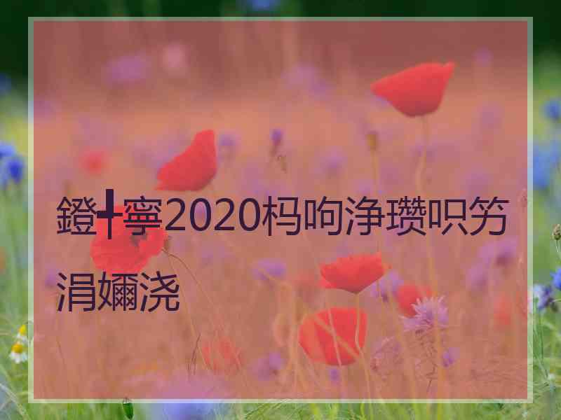 鐙╃寧2020杩呴浄瓒呮竻涓嬭浇