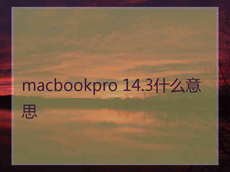 macbookpro 14.3什么意思