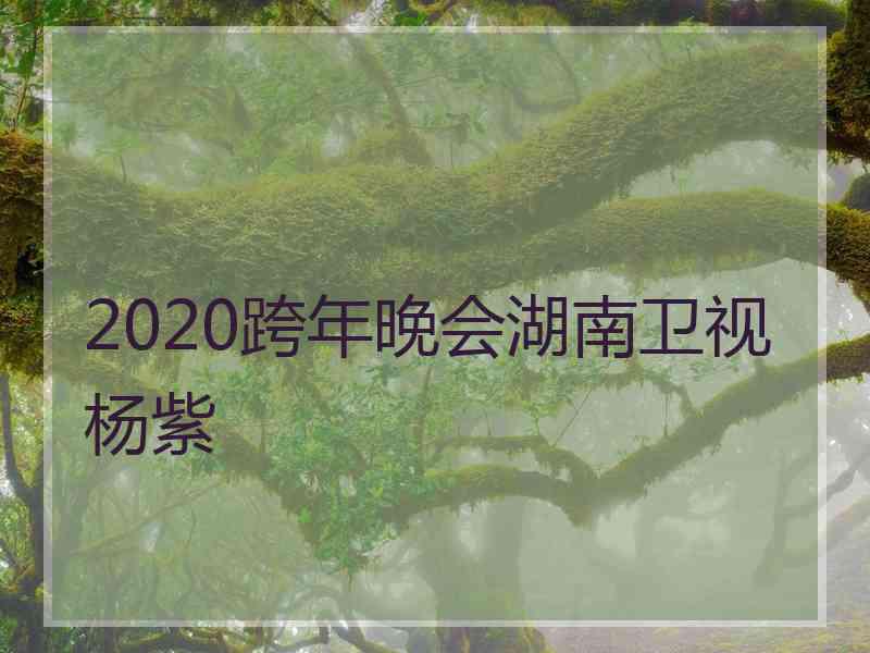 2020跨年晚会湖南卫视杨紫