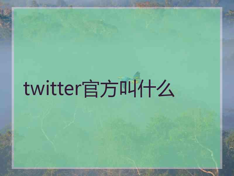 twitter官方叫什么