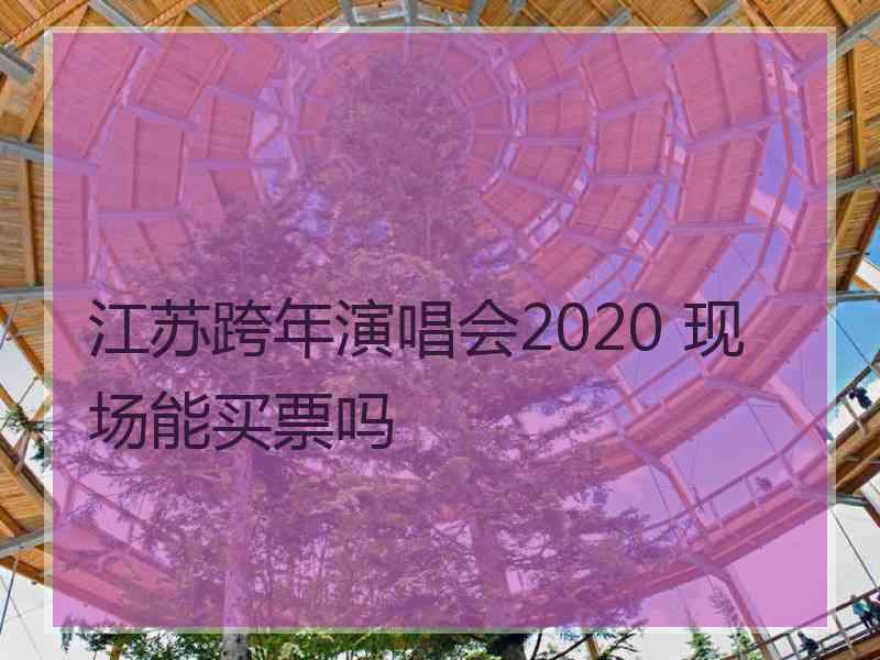 江苏跨年演唱会2020 现场能买票吗