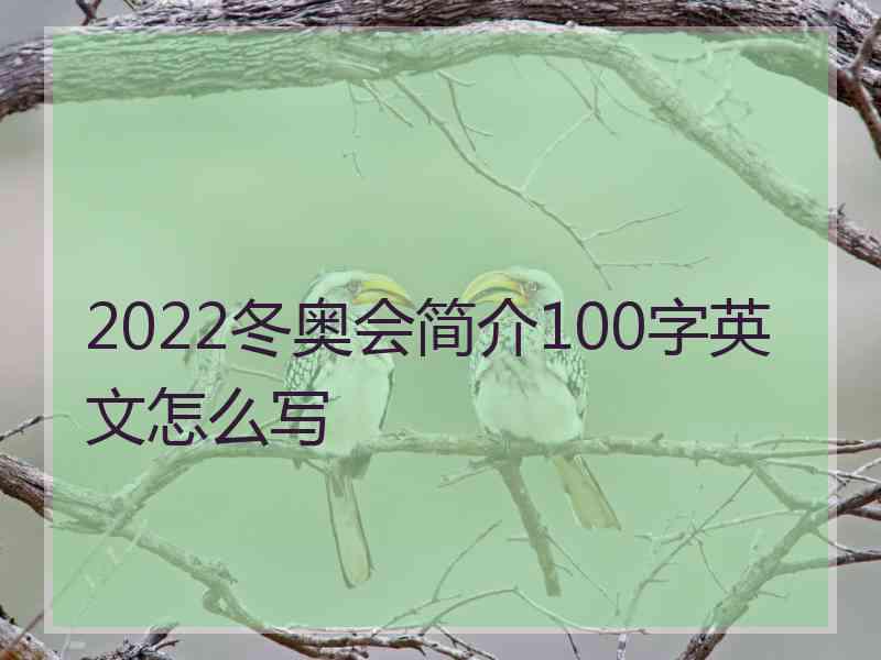 2022冬奥会简介100字英文怎么写