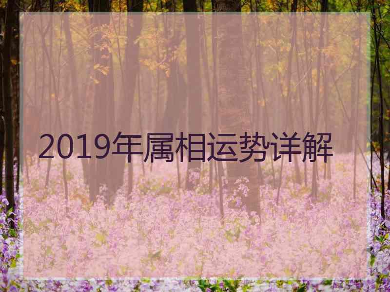 2019年属相运势详解