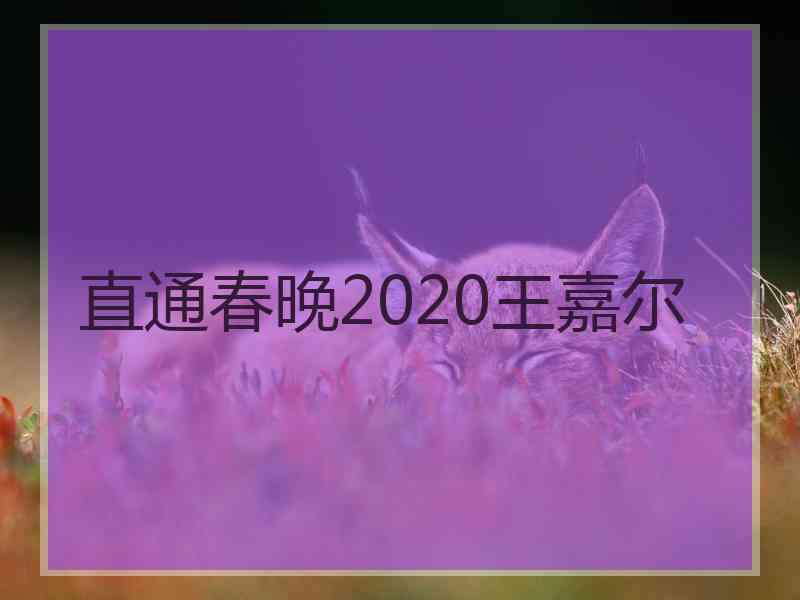 直通春晚2020王嘉尔