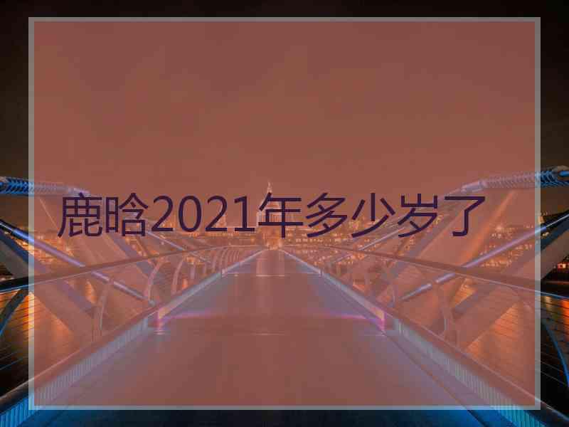 鹿晗2021年多少岁了