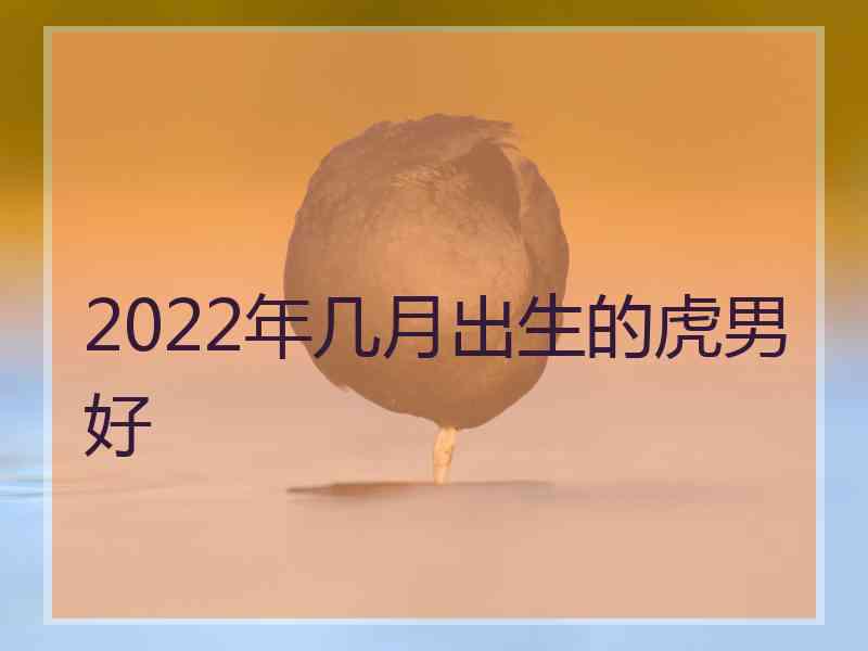 2022年几月出生的虎男好