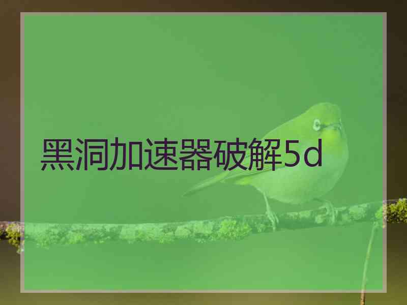 黑洞加速器破解5d