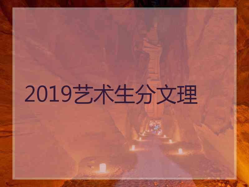 2019艺术生分文理