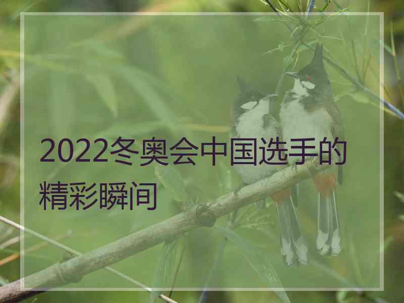 2022冬奥会中国选手的精彩瞬间