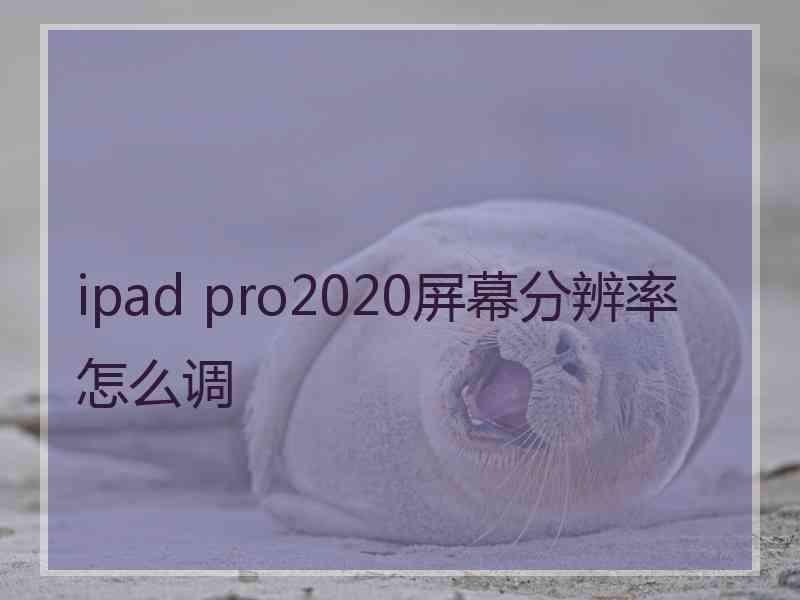 ipad pro2020屏幕分辨率怎么调