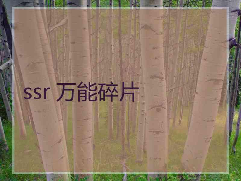 ssr 万能碎片