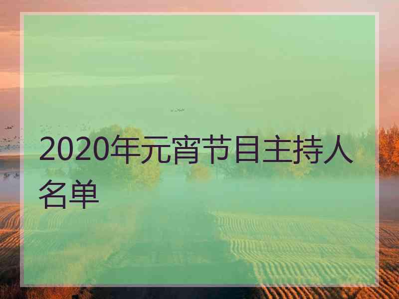 2020年元宵节目主持人名单