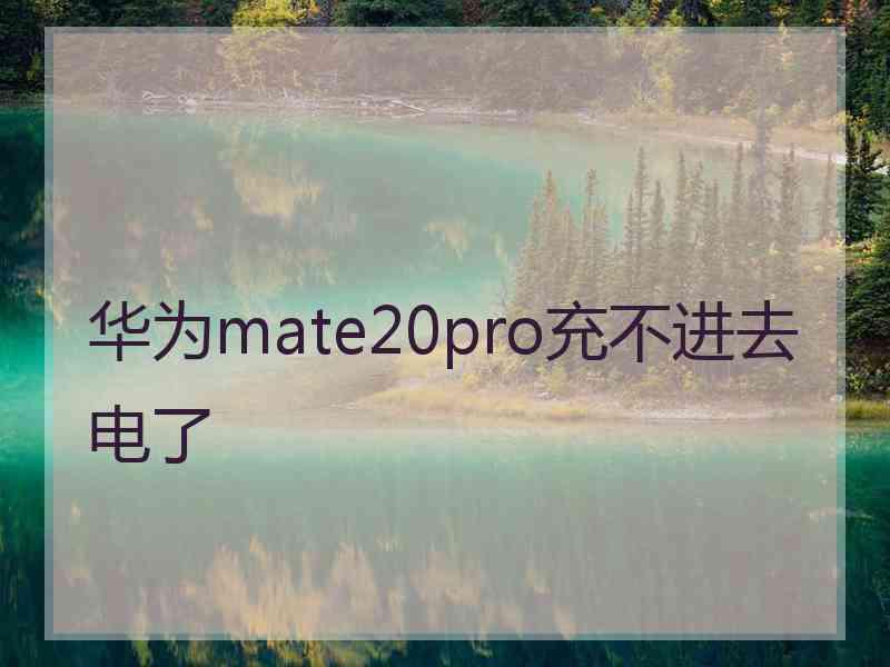 华为mate20pro充不进去电了