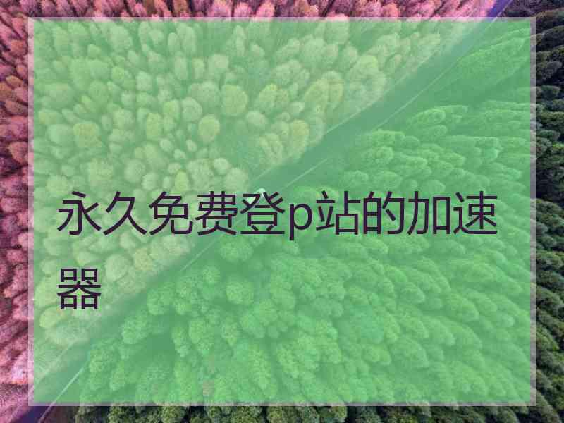 永久免费登p站的加速器