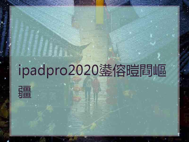 ipadpro2020鍙傛暟閰嶇疆