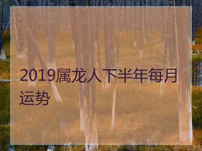 2019属龙人下半年每月运势