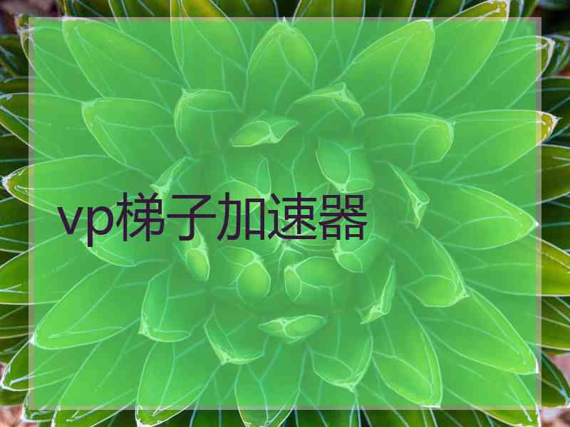 vp梯子加速器