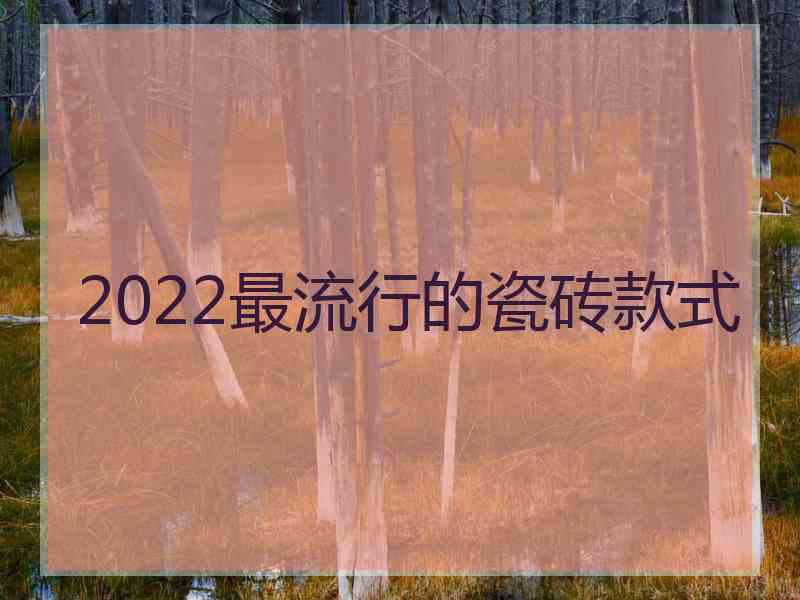 2022最流行的瓷砖款式