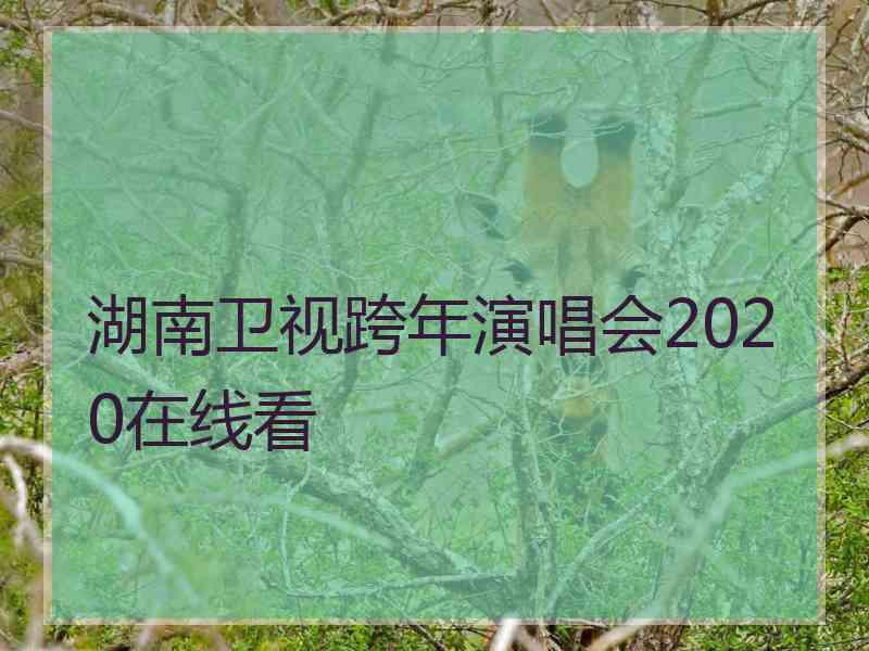 湖南卫视跨年演唱会2020在线看