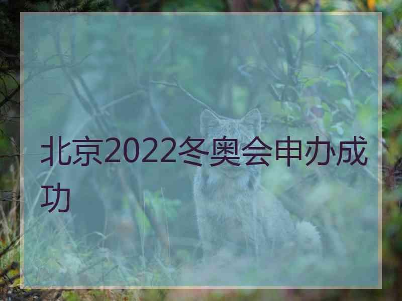 北京2022冬奥会申办成功