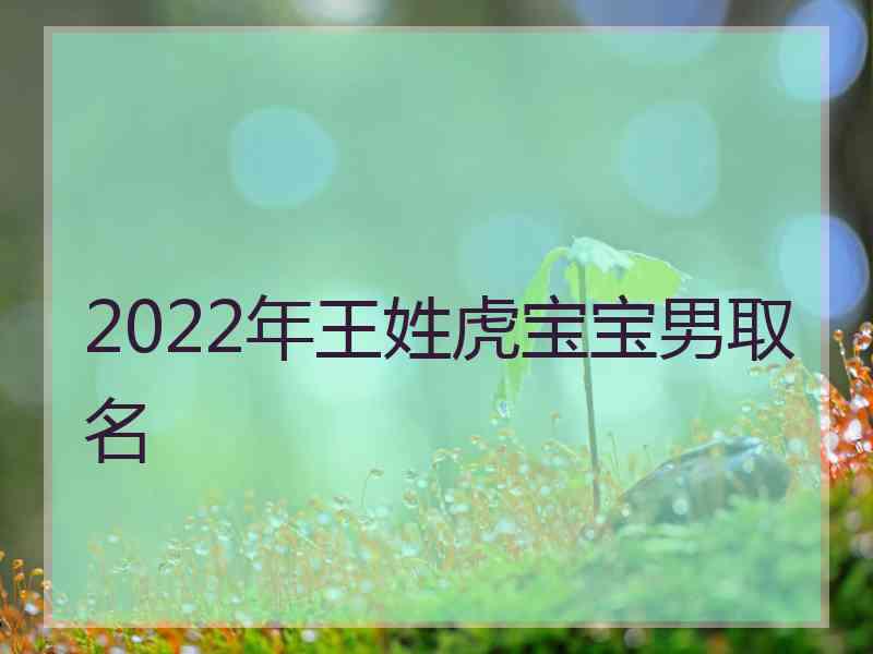 2022年王姓虎宝宝男取名