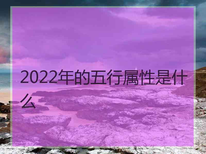 2022年的五行属性是什么