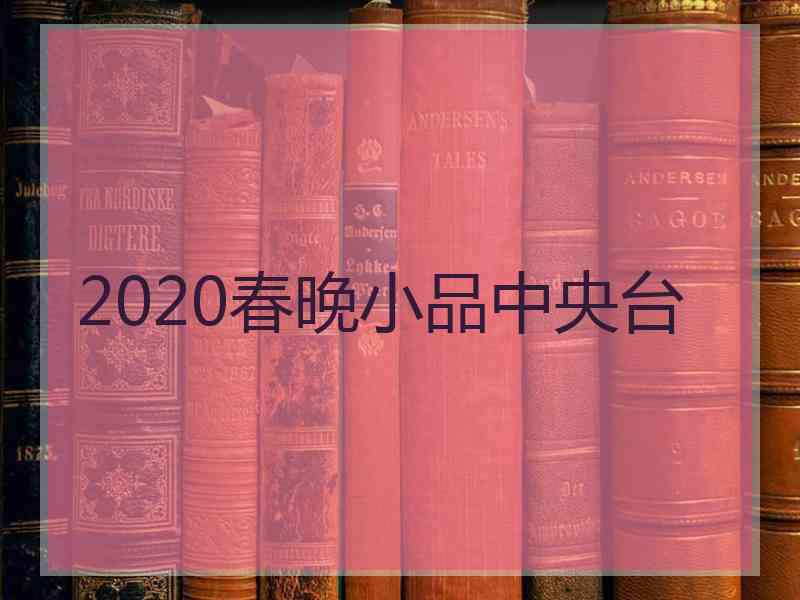 2020春晚小品中央台